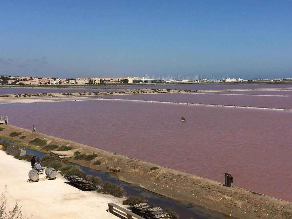 Gruissan Appartement Calme, Vue Sur Port De Plaisance -Clim, Empl.Parking Dış mekan fotoğraf