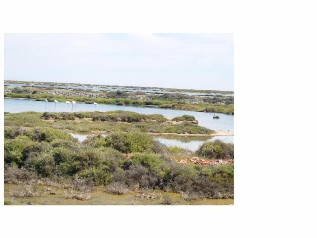 Gruissan Appartement Calme, Vue Sur Port De Plaisance -Clim, Empl.Parking Dış mekan fotoğraf