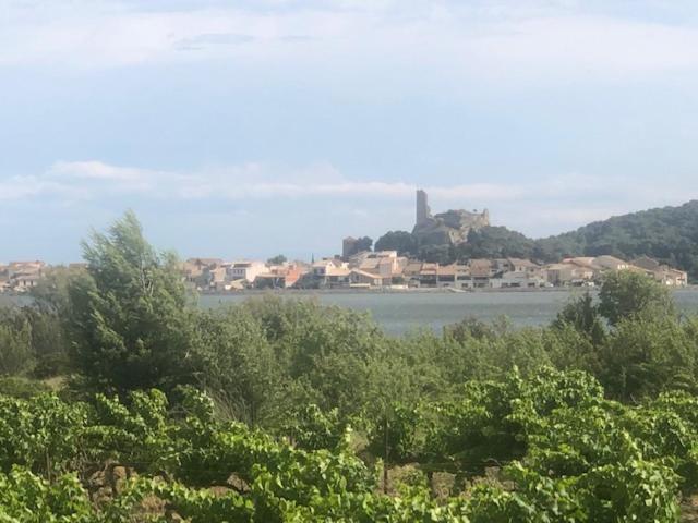 Gruissan Appartement Calme, Vue Sur Port De Plaisance -Clim, Empl.Parking Dış mekan fotoğraf